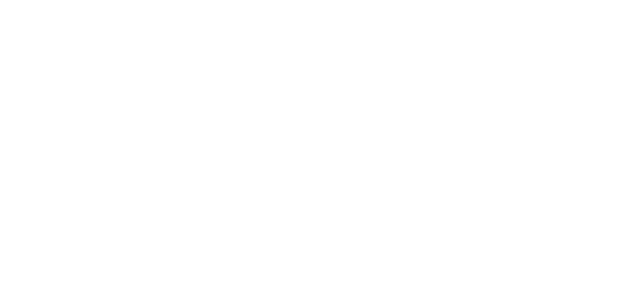 Total Access Elevator and Lifts